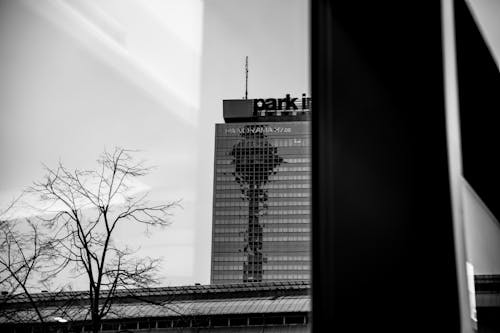 Grayscale Photo of High-Rise Building