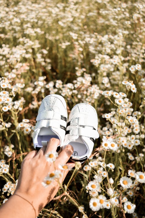 Free Person Holding Baby Shoes Stock Photo