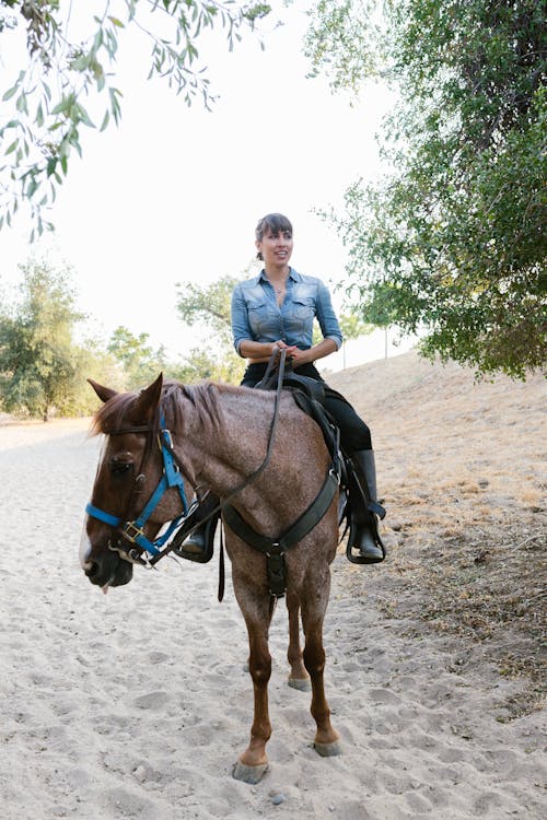 A Woman Riding a Horse