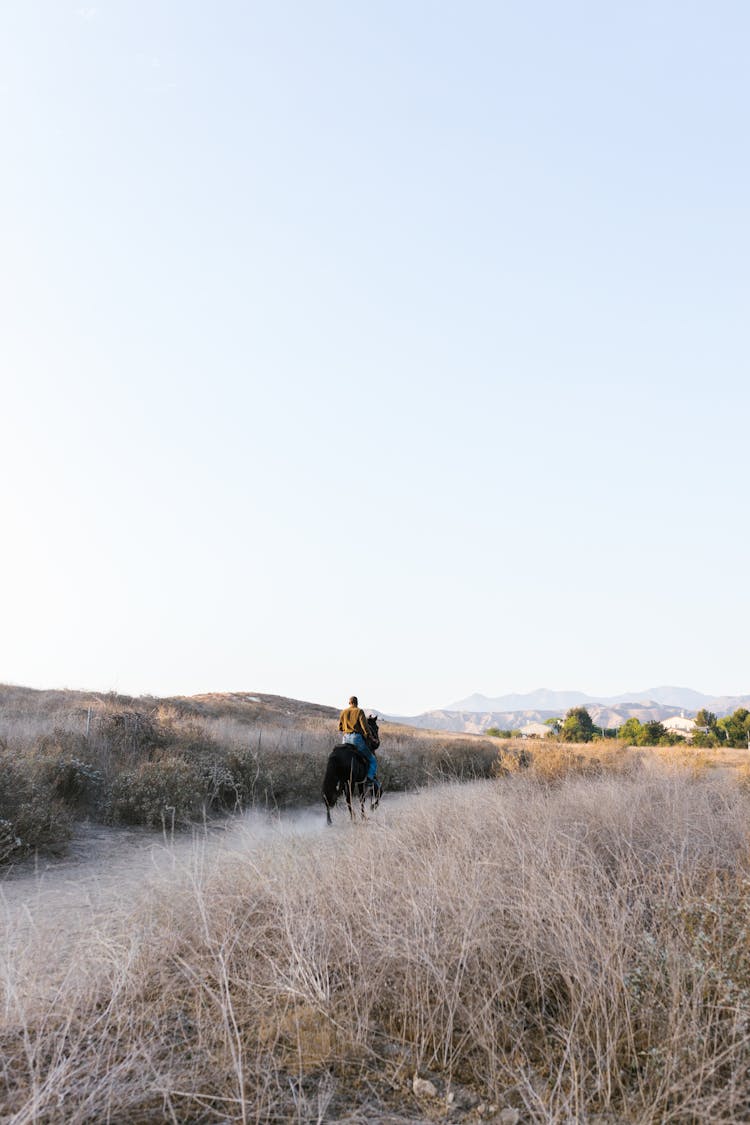 Back View Of Person Riding Horse On Prairie