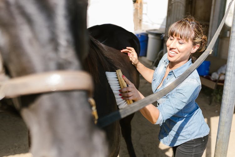 Female Caretaker Brushing A Horse