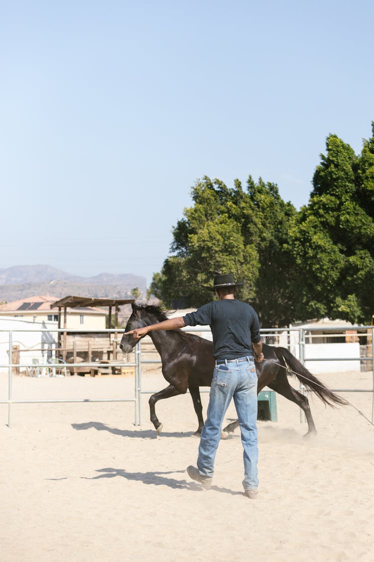 A Black Horse Running