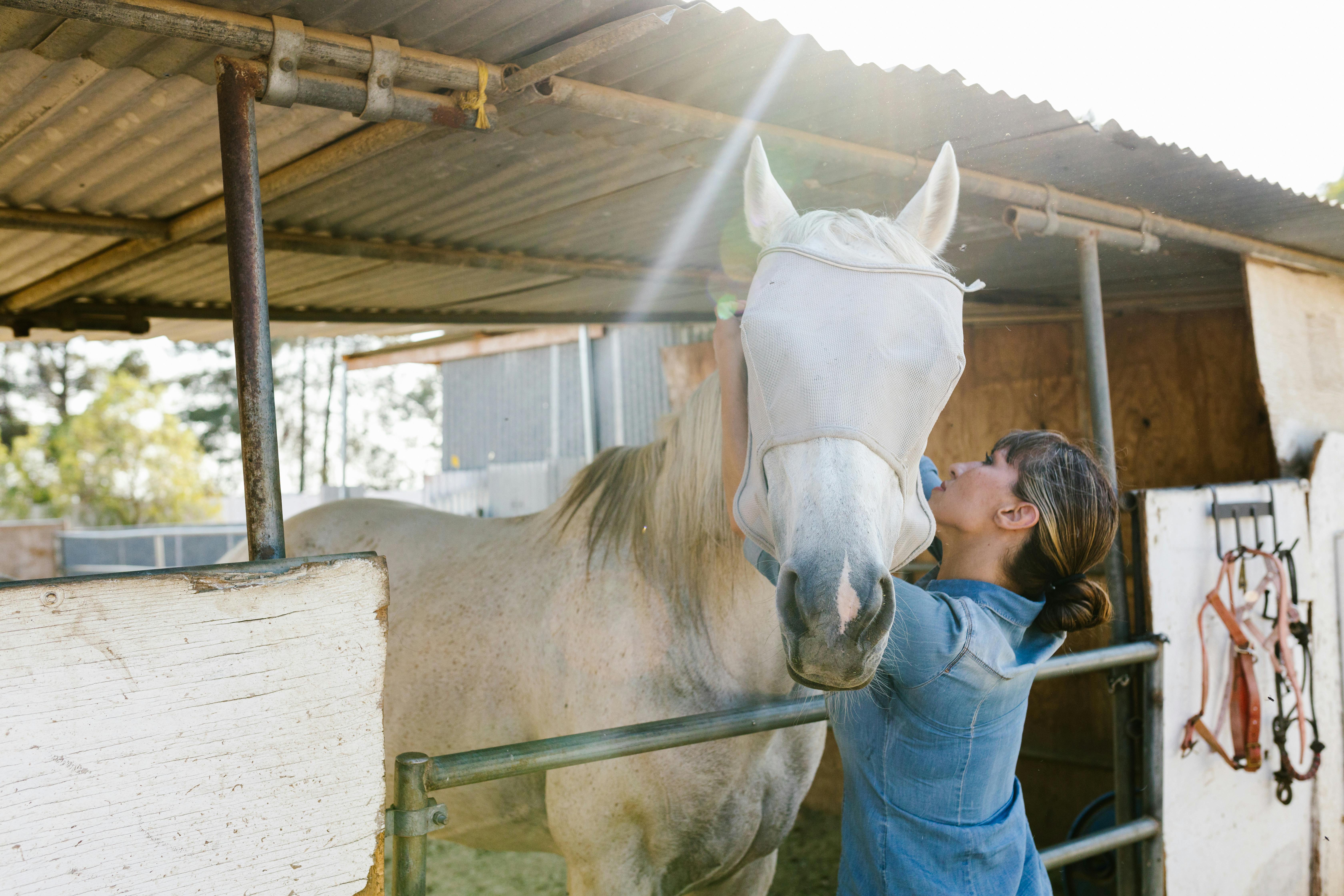A woman lovingly cares for a horse in a sunlit stable, depicting a gentle bond.