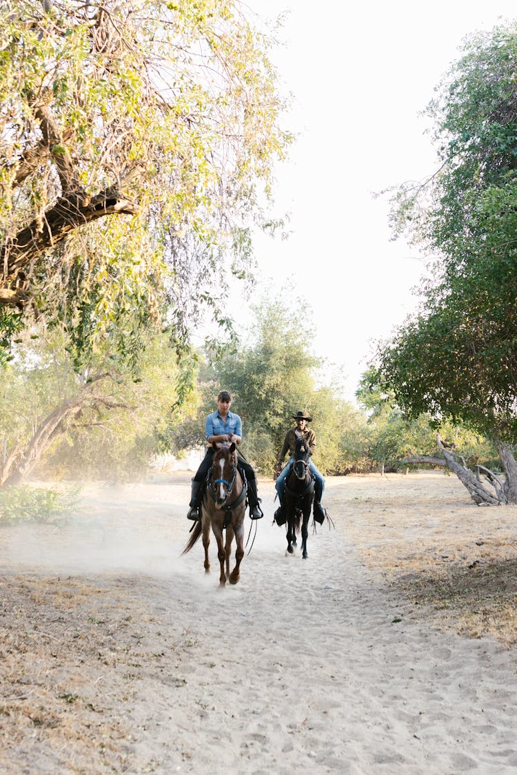 A Man And A Woman Riding Horses