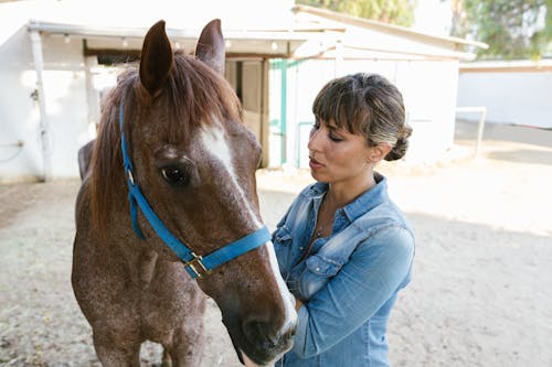 Woman with Horse