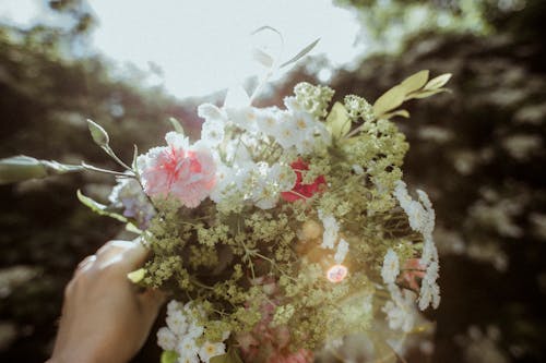Free Woman in White Floral Dress Holding Pink and White Flowers Stock Photo