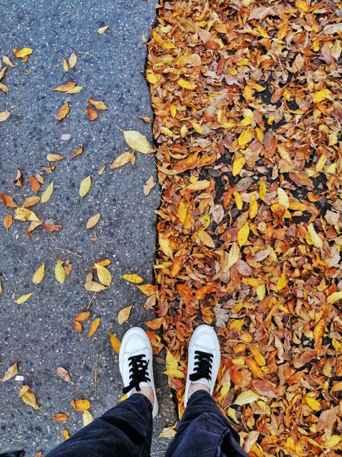 Free White sneakers on a sidewalk covered with vibrant autumn leaves. Stock Photo