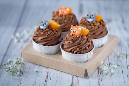 Free Chocolate Cupcakes Decorated with Fox and Owl Figures  Stock Photo