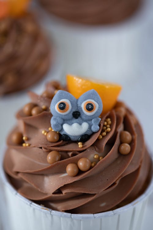 Close-up of a Decoration in a Shape of an Owl on a Cupcake 