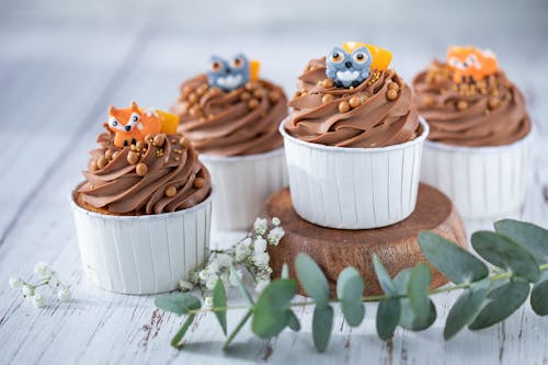 Chocolate Cupcakes Decorated with Fox and Owl Figures 