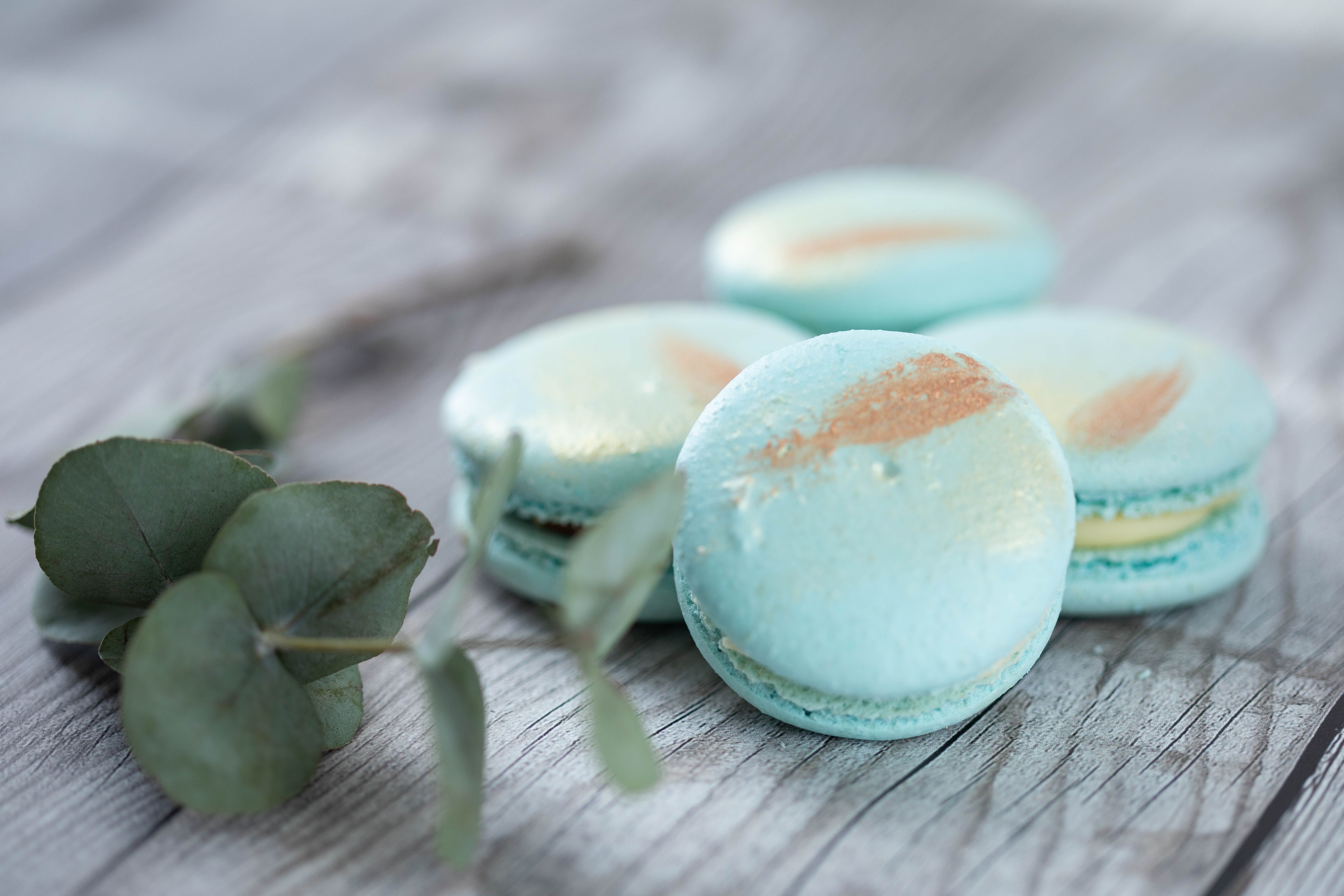 Macaron Shell Photos, Download The BEST Free Macaron Shell Stock Photos ...