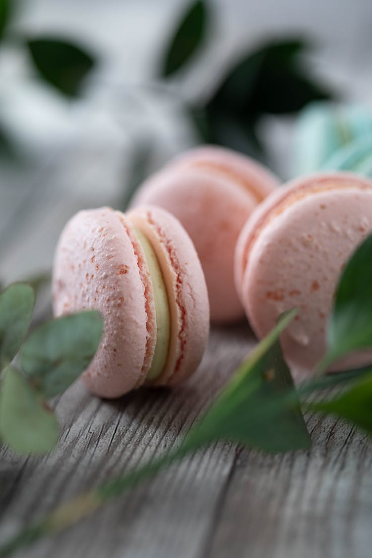 Pink Macarons And Green Leaves