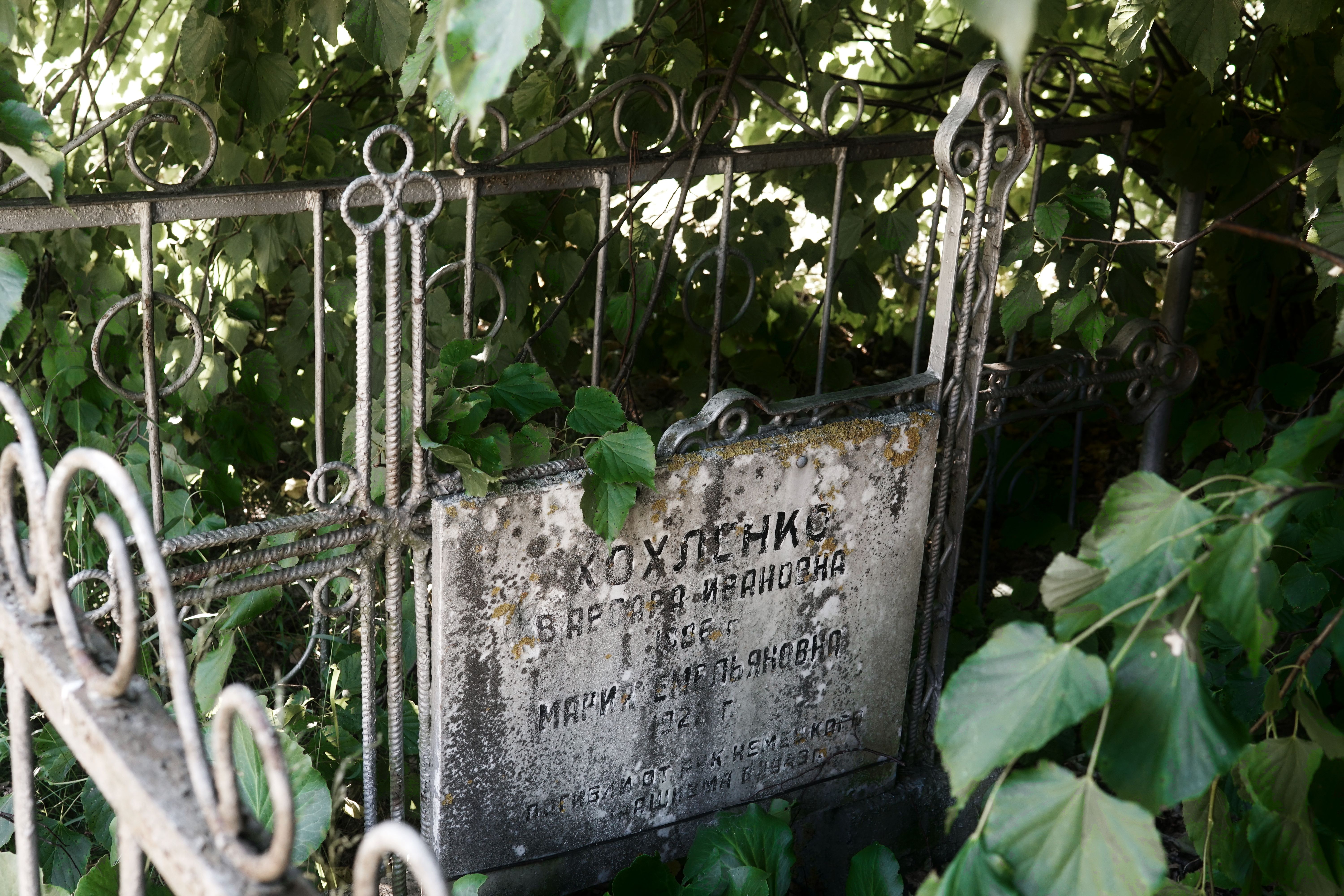 An old metal cemetery gate surrounded by lush green leaves, featuring a weathered plaque with text.