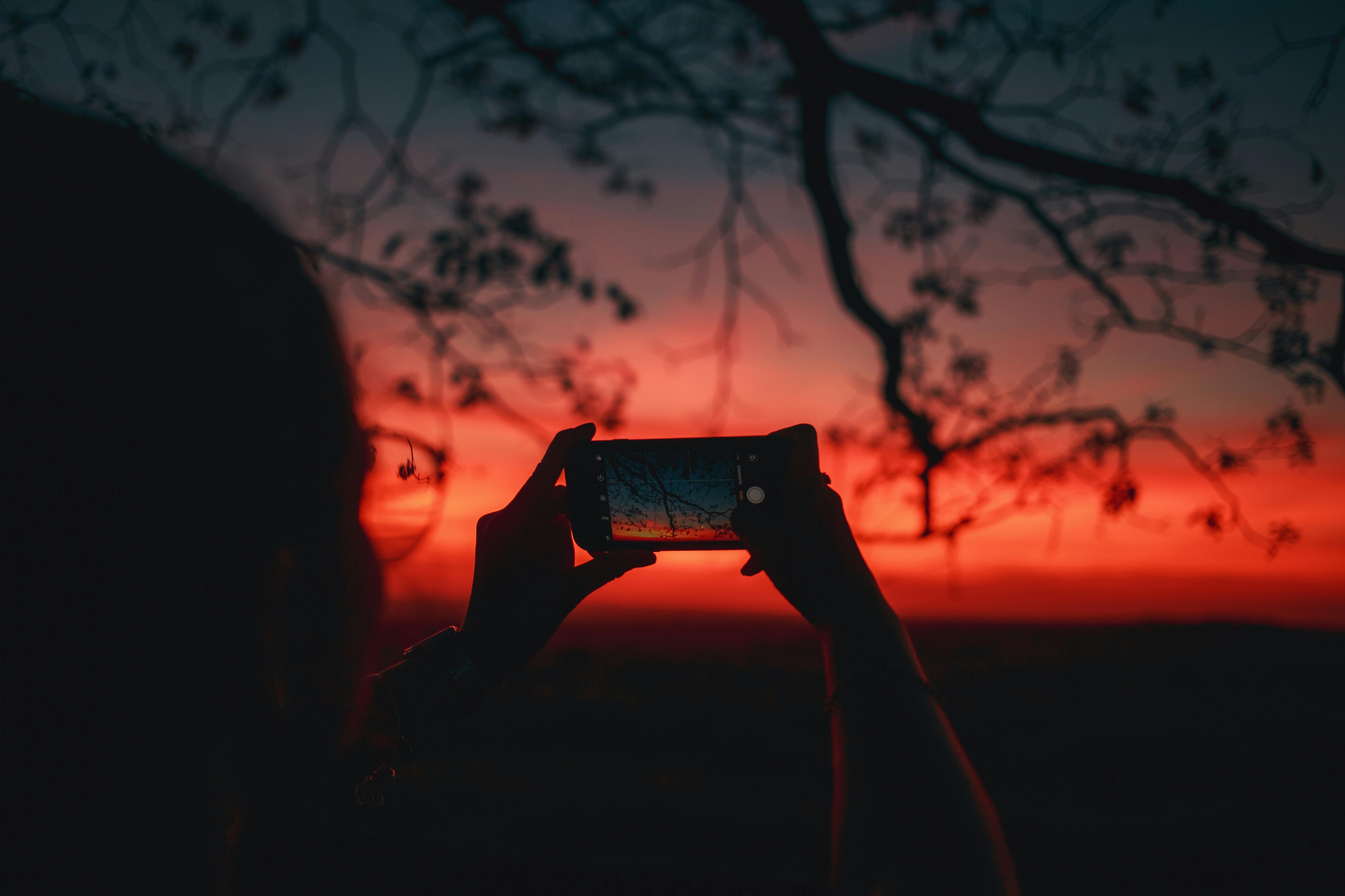Silhouette capturing a vibrant sunset through a smartphone amidst tree branches.