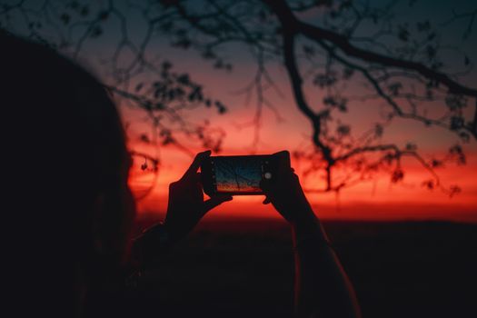 Silhouette capturing a vibrant sunset through a smartphone amidst tree branches.