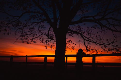 Silhouette of a Person Leaning on a Fence 