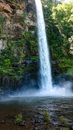 A Beautiful Waterfalls in a Forest