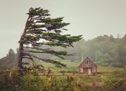 A House in the Countryside