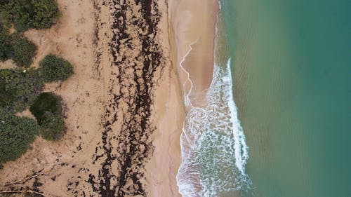 Foto d'estoc gratuïta de acomiadar-se, Costa, foto des d'un dron