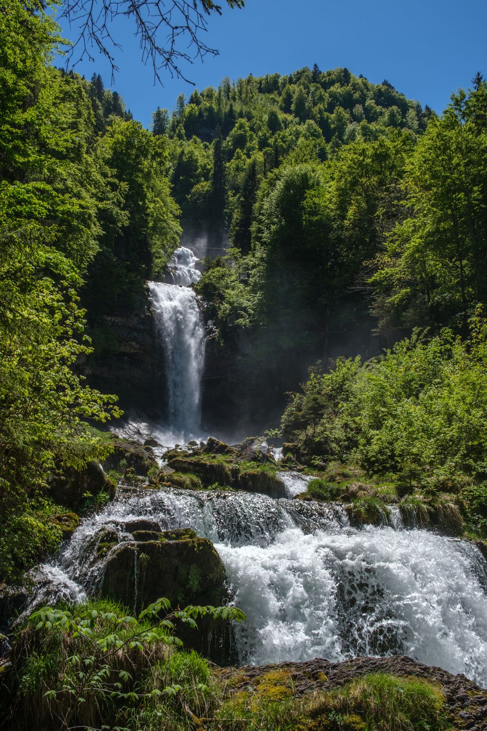 Waterfall in the Forest · Free Stock Photo