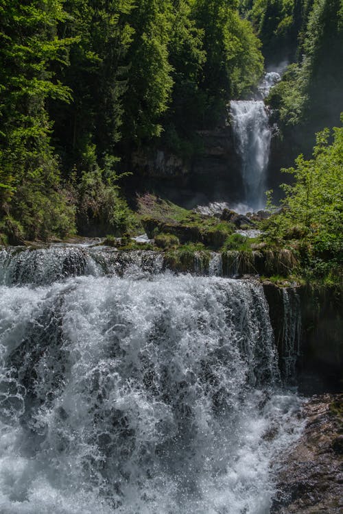 Immagine gratuita di acqua, alberi, cascata