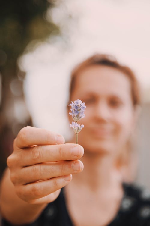 Close-up of Person Hand Holding Wild Flower