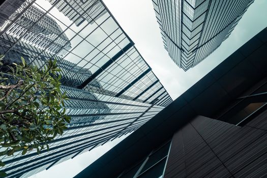 Upward angle of modern skyscrapers with reflective glass and geometric lines capturing urban architecture.