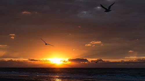 Free stock photo of beach, light, sea