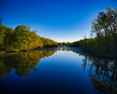 Gratis lagerfoto af flod, natur, refleksion