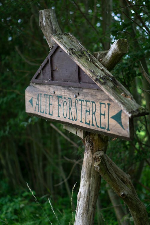 Free A Wooden Directional Sign in the Forest Stock Photo