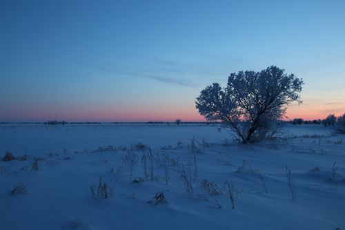 Free Captivating winter scene at twilight in the snow-covered landscape of Игрим, Russia. Stock Photo