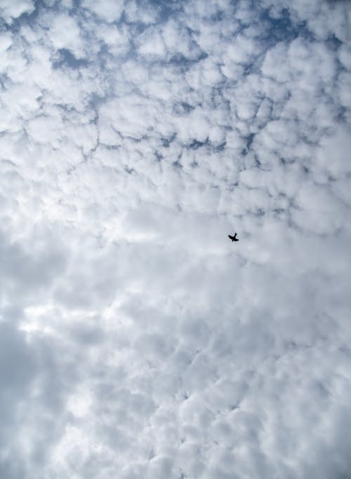 altocumulus, bulut, gökyüzü içeren Ücretsiz stok fotoğraf