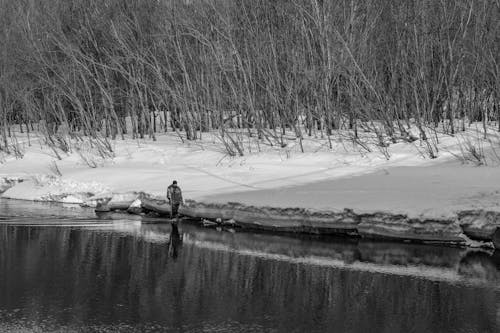 Fisherman in Water near Forest in Winter