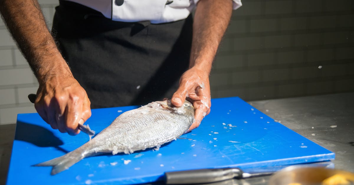 Le Poisson Cru : Mythes et Réalités