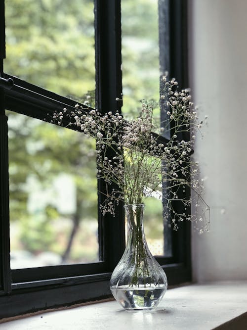 Free Flowers in a Glass Vase Stock Photo