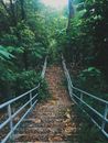 Brown and Gray Metal Staircase in the Forest