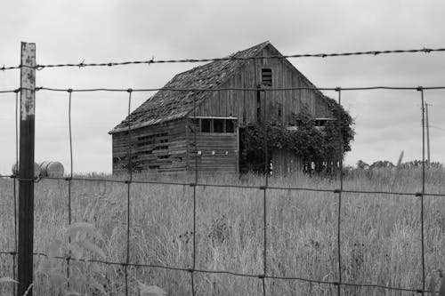 Free Grayscale Photo of a Wooden Barn Stock Photo