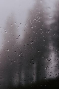 Close-up of rain droplets on a foggy window with blurred trees in the background, creating a moody effect.