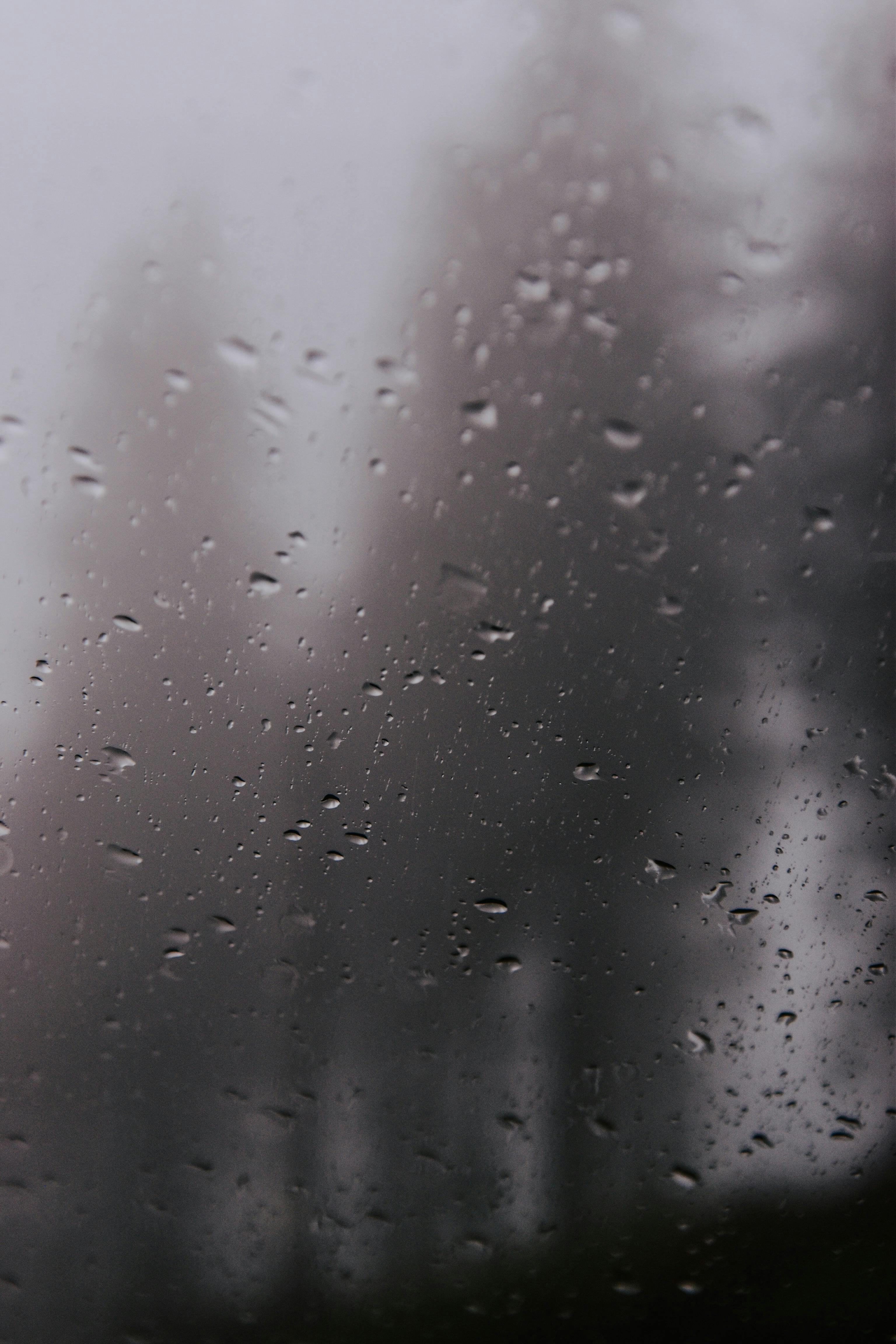 Flowers Behind A Glass Panel With Water Droplets · Free Stock Photo