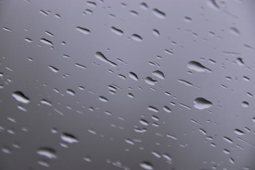 Gratis lagerfoto af regndråber, tæt på, våd