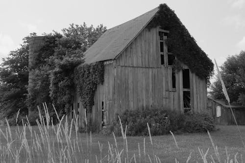 Grayscale Photo of a Wooden House