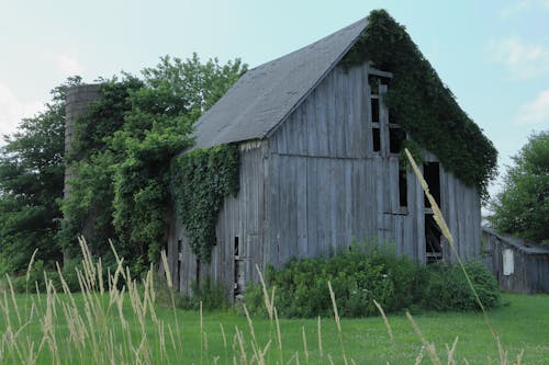 A Wooden Barn on a Grassy Field
