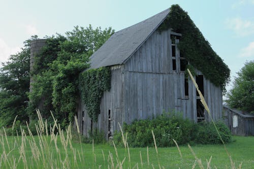 Immagine gratuita di campagna, campo, erba