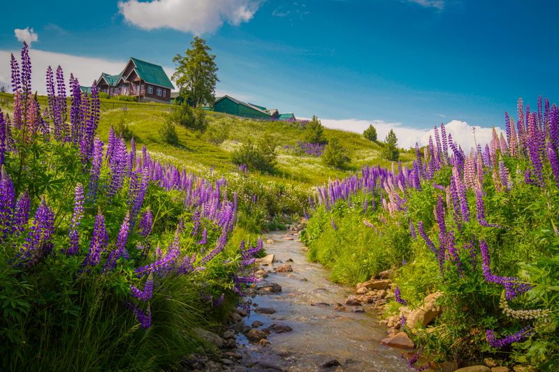 Gulmarg