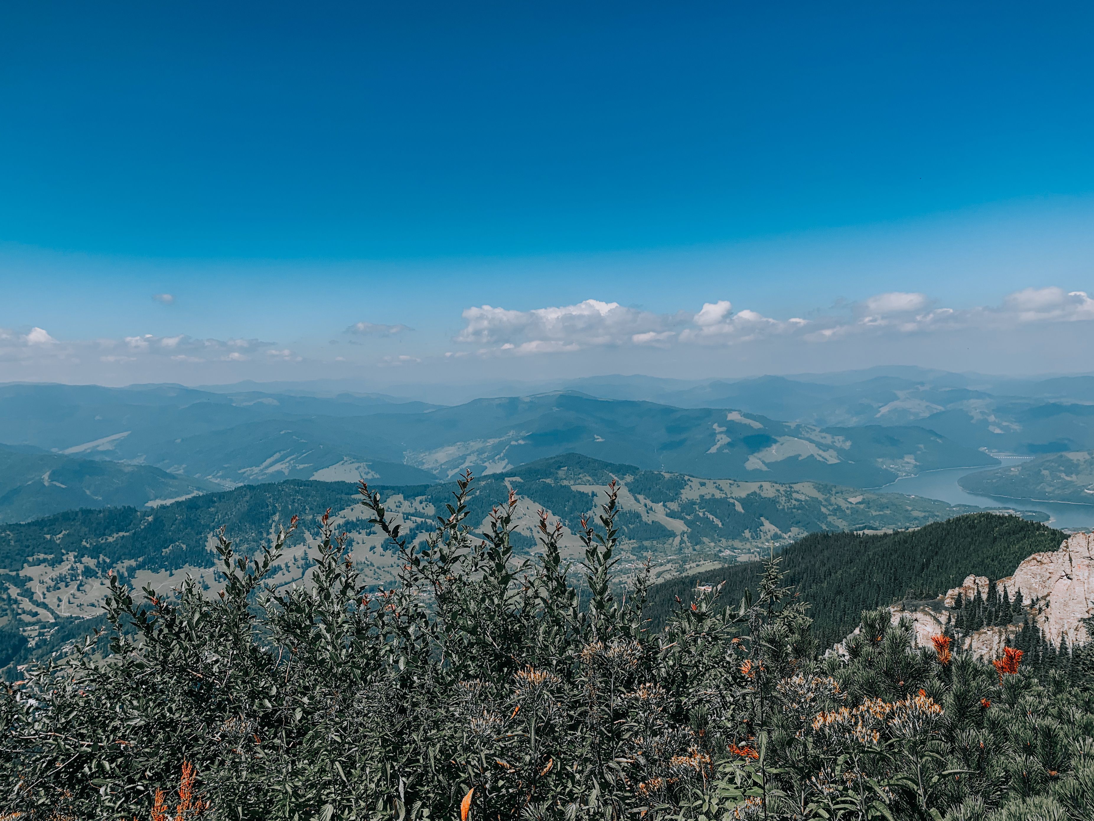Green Mountains Under the Blue Sky · Free Stock Photo
