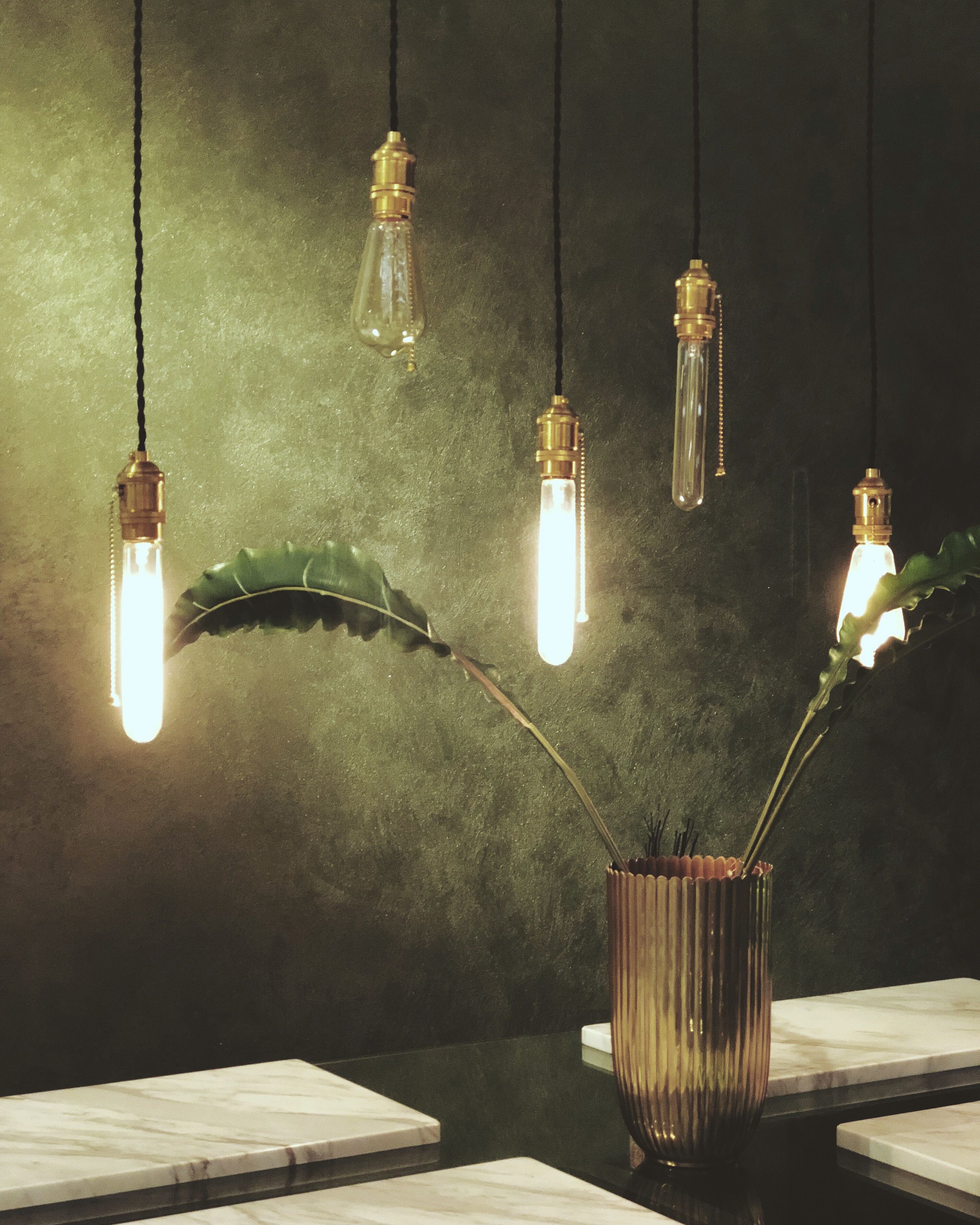 Stylish interior featuring Edison bulbs, a leafy plant, and a reflective tabletop.