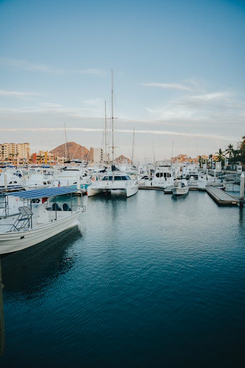 Free White Yachts on the Port Stock Photo
