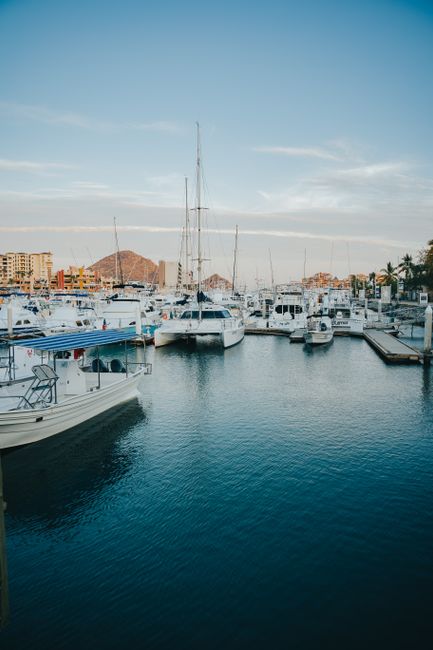 View of a calm marina filled with docked yachts under a clear morning sky.