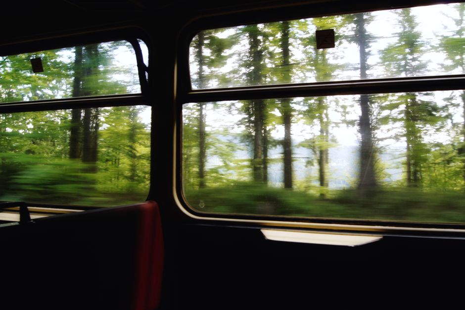 Blurred forest captured through a train window, showcasing motion and travel adventure.