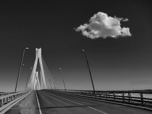 

A Grayscale of the Arthur Ravenel Jr Bridge in South Carolina